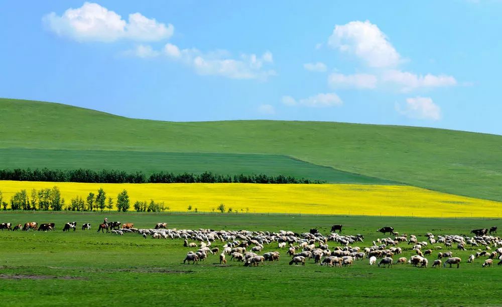 内蒙古独特风味探寻之旅,小巷中的美食秘境