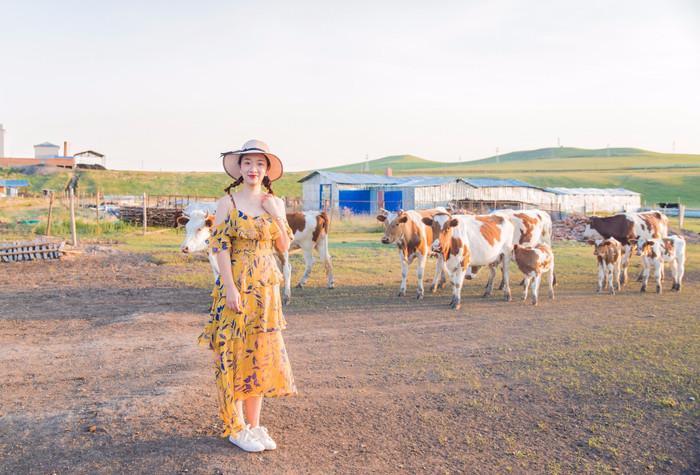 呼伦贝尔草原奇遇记